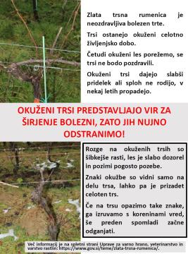 Informativni list GFD 2023 Stran 2